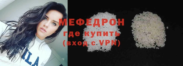индика Богородск