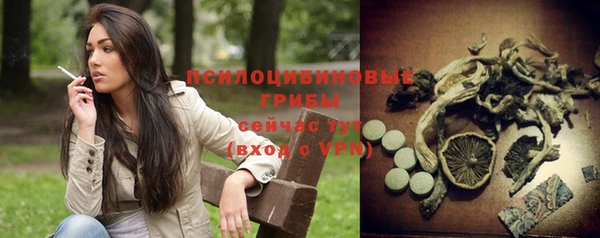 a pvp Баксан