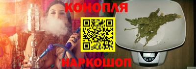 стафф Дубна