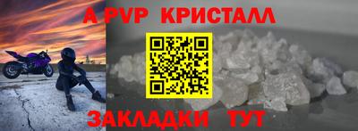 стафф Дубна