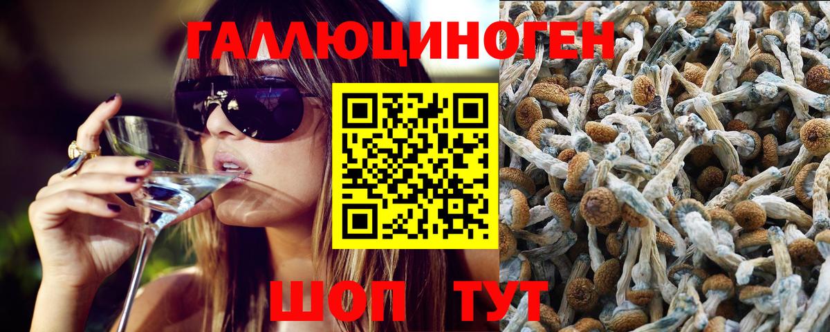 Галлюциногенные грибы Psilocybe  Вход с VPN  Рыбинск  Псилоцибиновые грибы мицелий 